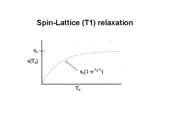 Spin-Lattice (T 1) relaxation 