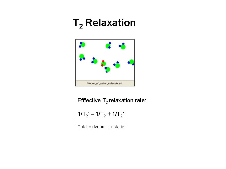 T 2 Relaxation Efffective T 2 relaxation rate: 1/T 2’ = 1/T 2 +