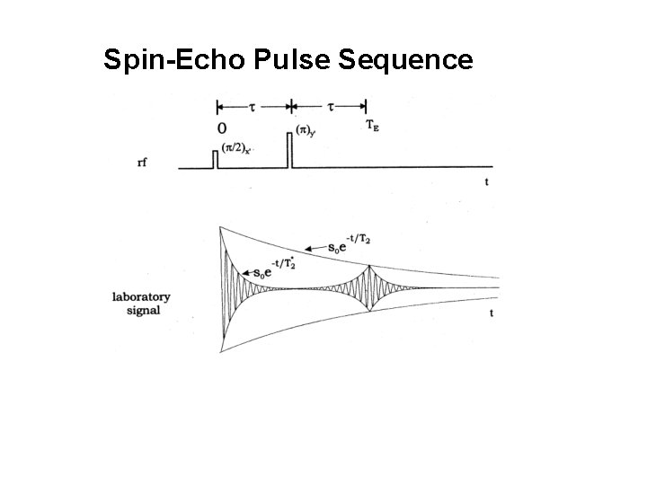 Spin-Echo Pulse Sequence 