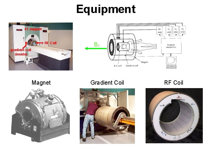 Equipment 4 T magnet RF Coil B 0 gradient coil (inside) Magnet Gradient Coil