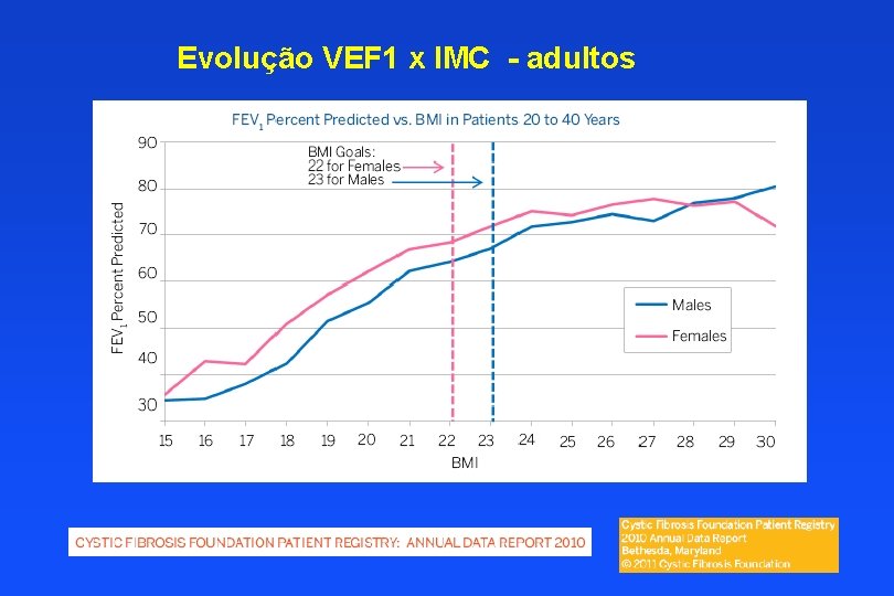 Evolução VEF 1 x IMC - adultos 