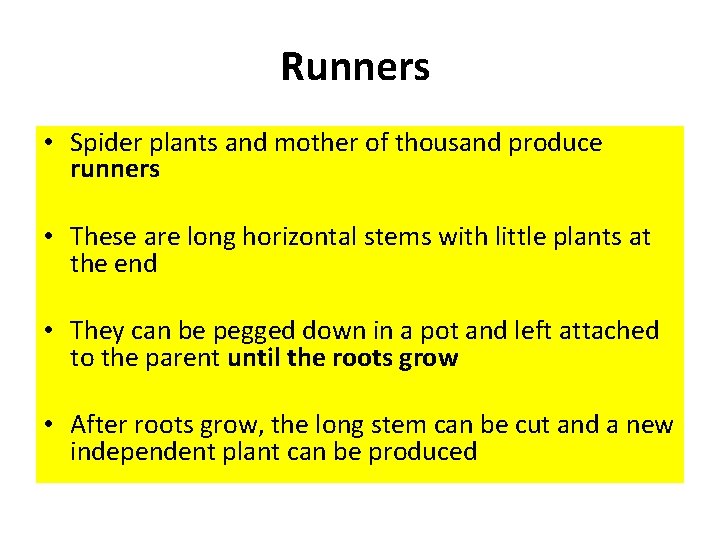 Runners • Spider plants and mother of thousand produce runners • These are long
