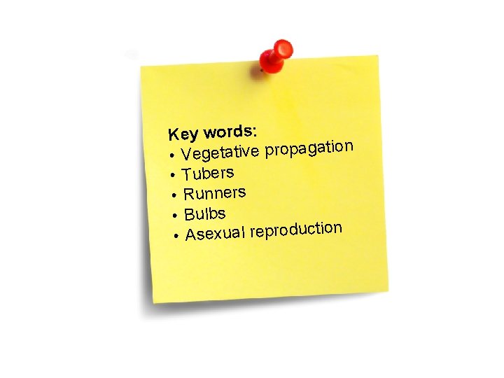 Key words: on • Vegetative propagati • Tubers • Runners • Bulbs • Asexual