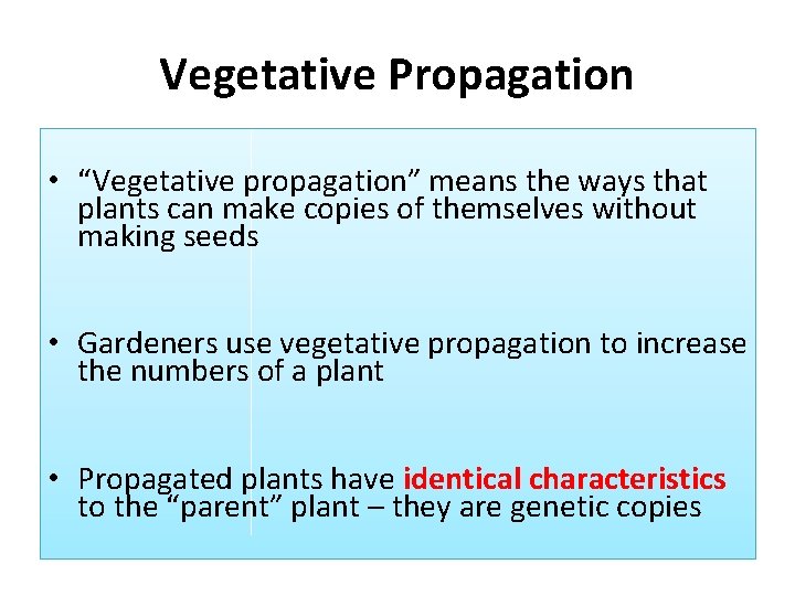 Vegetative Propagation • “Vegetative propagation” means the ways that plants can make copies of