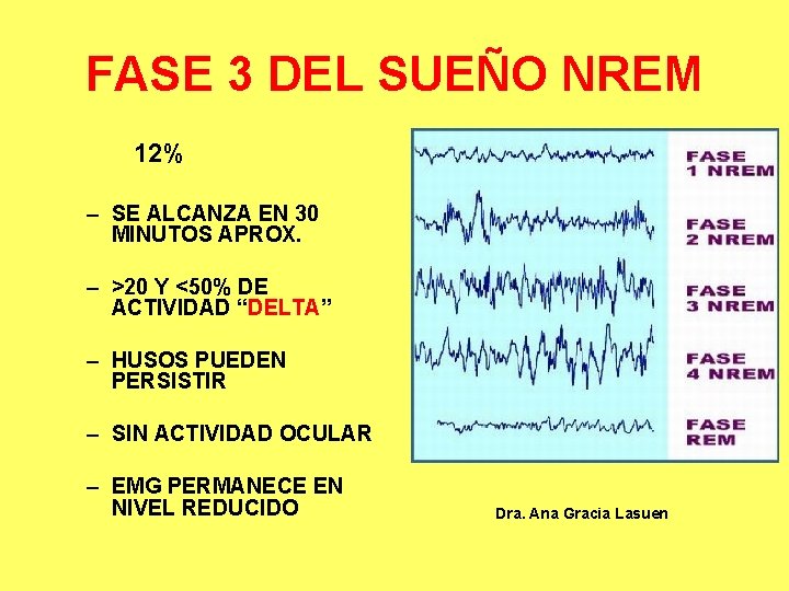 FASE 3 DEL SUEÑO NREM 12% – SE ALCANZA EN 30 MINUTOS APROX. –