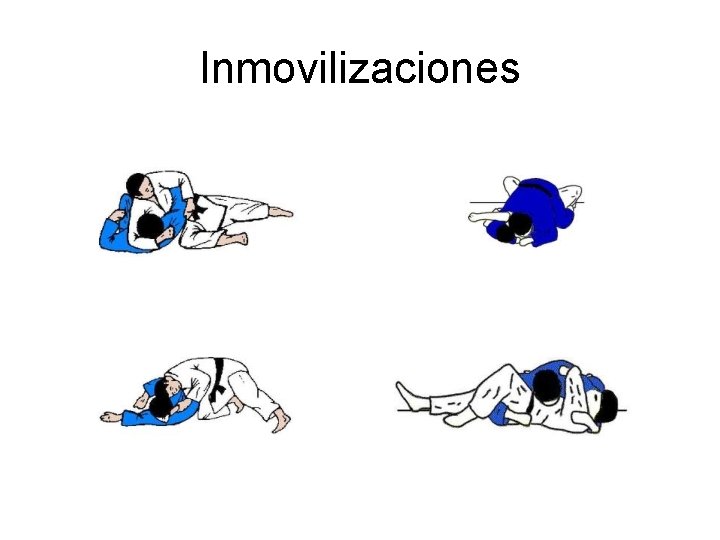 Inmovilizaciones 