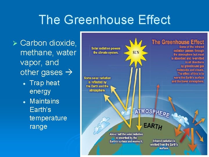 The Greenhouse Effect Ø Carbon dioxide, methane, water vapor, and other gases l l