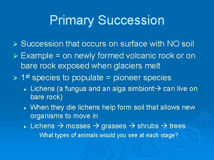 Primary Succession that occurs on surface with NO soil Ø Example = on newly