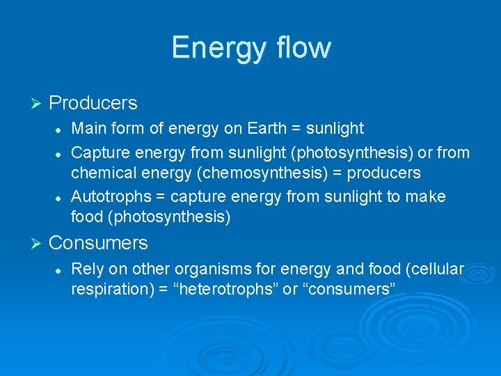 Energy flow Ø Producers l l l Ø Main form of energy on Earth