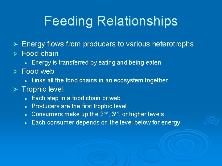 Feeding Relationships Energy flows from producers to various heterotrophs Ø Food chain Ø l