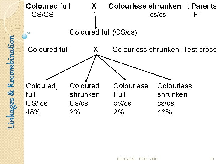 Linkages & Recombination Coloured full CS/CS X Colourless shrunken : Parents cs/cs : F