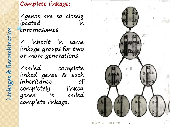 Linkages & Recombination Complete linkage: ügenes are so closely located in chromosomes ü inherit