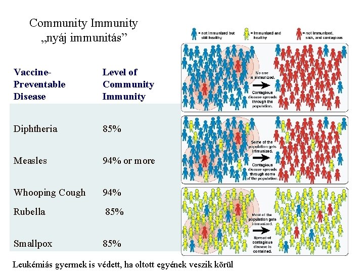 Community Immunity „nyáj immunitás” Vaccine. Preventable Disease Level of Community Immunity Diphtheria 85% Measles