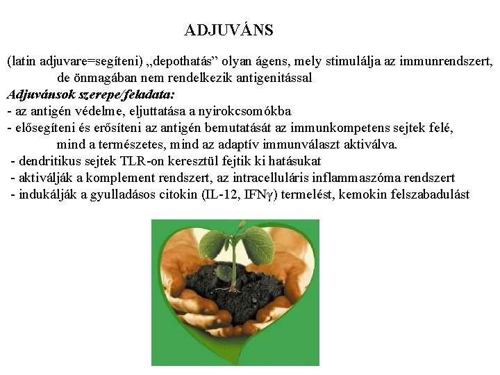 ADJUVÁNS (latin adjuvare=segíteni) „depothatás” olyan ágens, mely stimulálja az immunrendszert, de önmagában nem rendelkezik