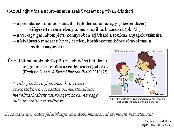  • Az Al adjuváns a neuro-immun szabályozást negatívan érintheti – a prenatális/ korai