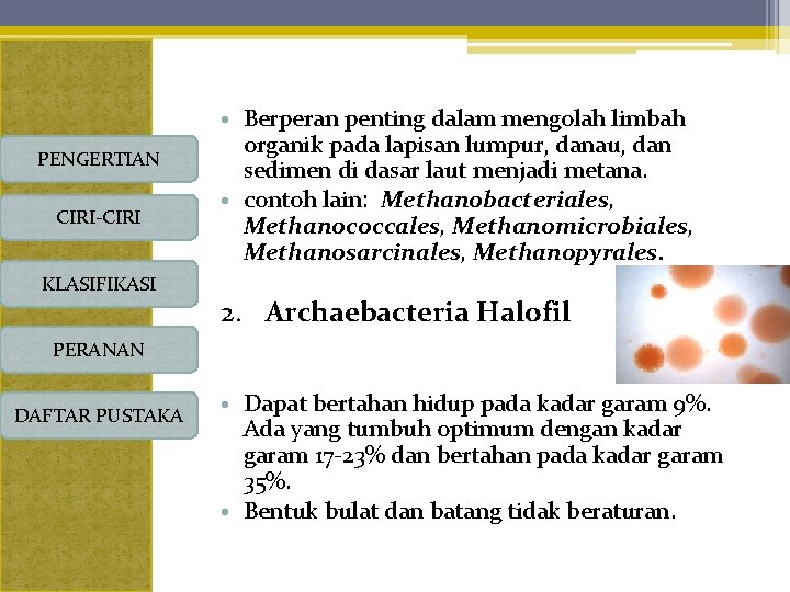 PENGERTIAN CIRI-CIRI KLASIFIKASI • Berperan penting dalam mengolah limbah organik pada lapisan lumpur, danau,