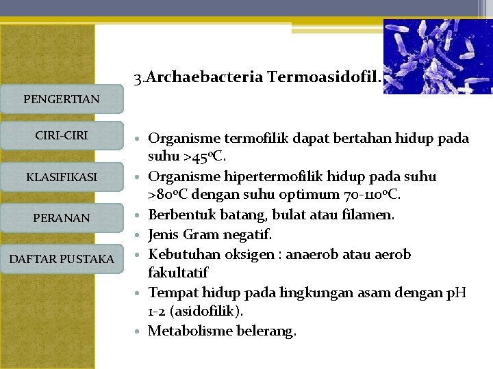 3. Archaebacteria Termoasidofil. PENGERTIAN CIRI-CIRI KLASIFIKASI PERANAN DAFTAR PUSTAKA • Organisme termofilik dapat bertahan