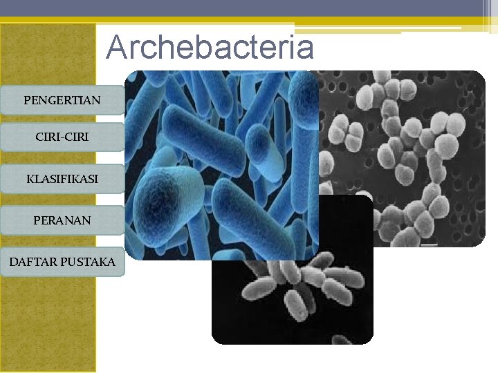 Archebacteria PENGERTIAN CIRI-CIRI KLASIFIKASI PERANAN DAFTAR PUSTAKA 