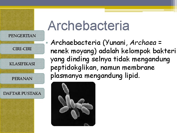 PENGERTIAN CIRI-CIRI KLASIFIKASI PERANAN DAFTAR PUSTAKA Archebacteria • Archaebacteria (Yunani, Archaea = nenek moyang)