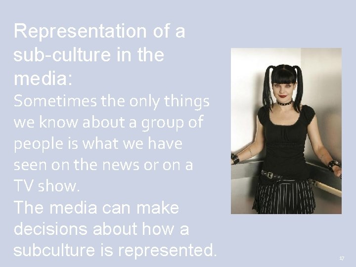 Representation of a sub-culture in the media: Sometimes the only things we know about