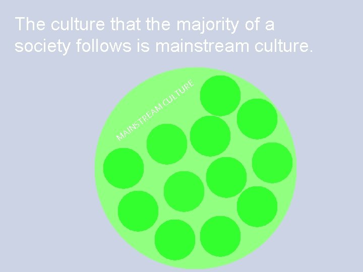 The culture that the majority of a society follows is mainstream culture. E R