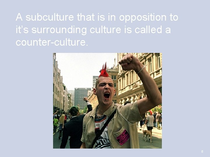 A subculture that is in opposition to it’s surrounding culture is called a counter-culture.