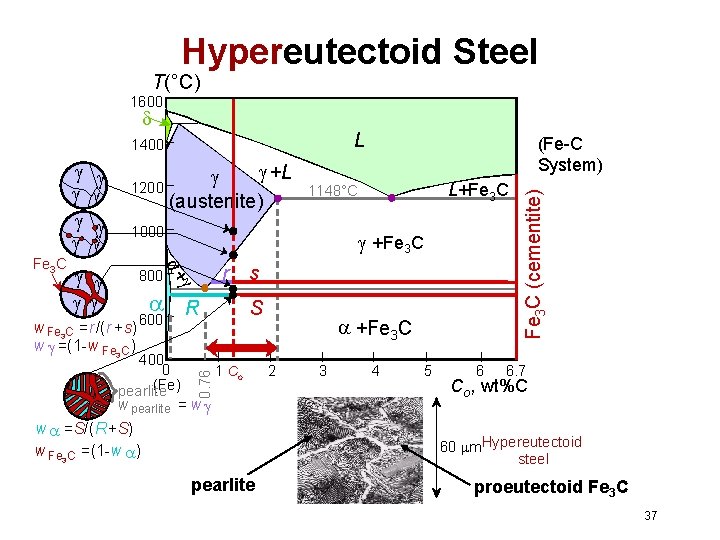 Hypereutectoid Steel T(°C) 1600 L +L 1200 (austenite) 1000 800 w Fe 3 C