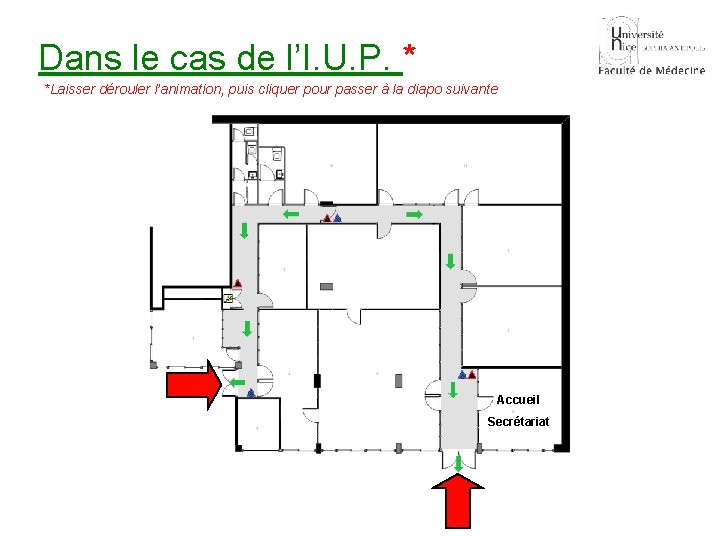 Dans le cas de l’I. U. P. * *Laisser dérouler l’animation, puis cliquer pour