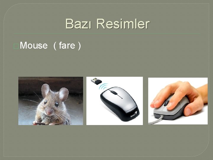 Bazı Resimler �Mouse ( fare ) 