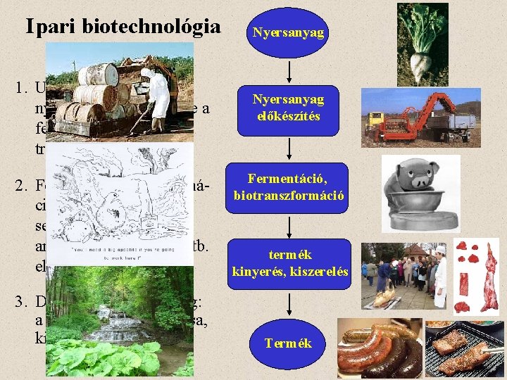 Ipari biotechnológia kulcslépései 1. Upstream processing: a nyersanyag előkészítése a fermentációra, vagy transzformációra 2.