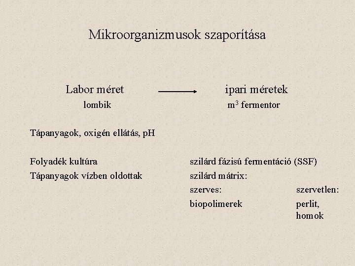 Mikroorganizmusok szaporítása Labor méret ipari méretek lombik m 3 fermentor Tápanyagok, oxigén ellátás, p.