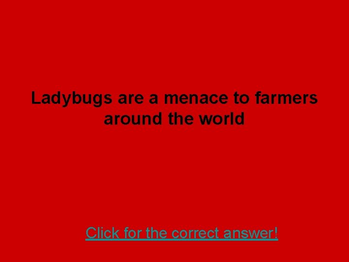 Ladybugs are a menace to farmers around the world Click for the correct answer!