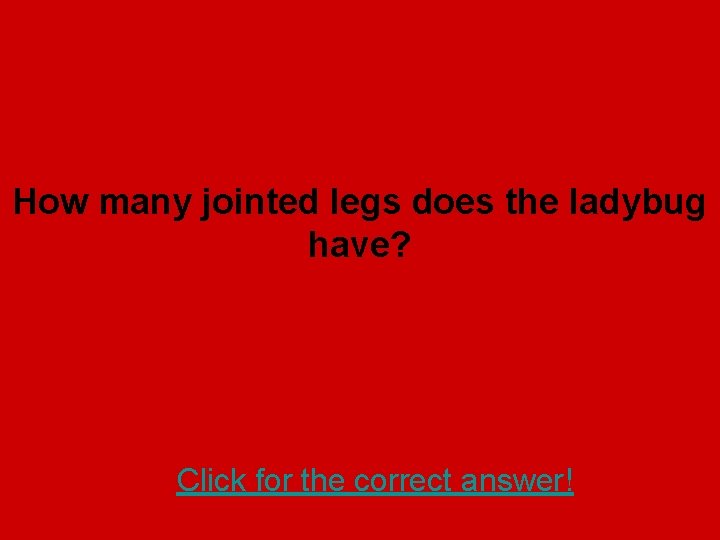 How many jointed legs does the ladybug have? Click for the correct answer! 