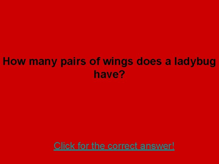 How many pairs of wings does a ladybug have? Click for the correct answer!