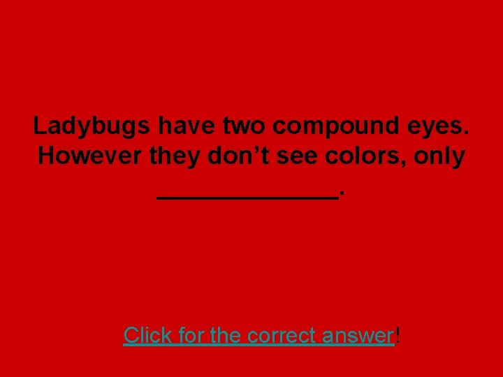 Ladybugs have two compound eyes. However they don’t see colors, only _______. Click for