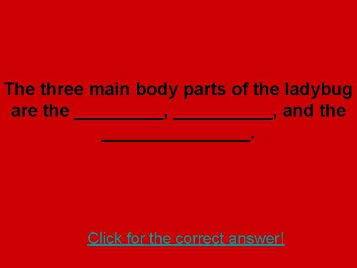 The three main body parts of the ladybug are the _____, and the ________.