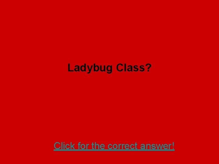 Ladybug Class? Click for the correct answer! 