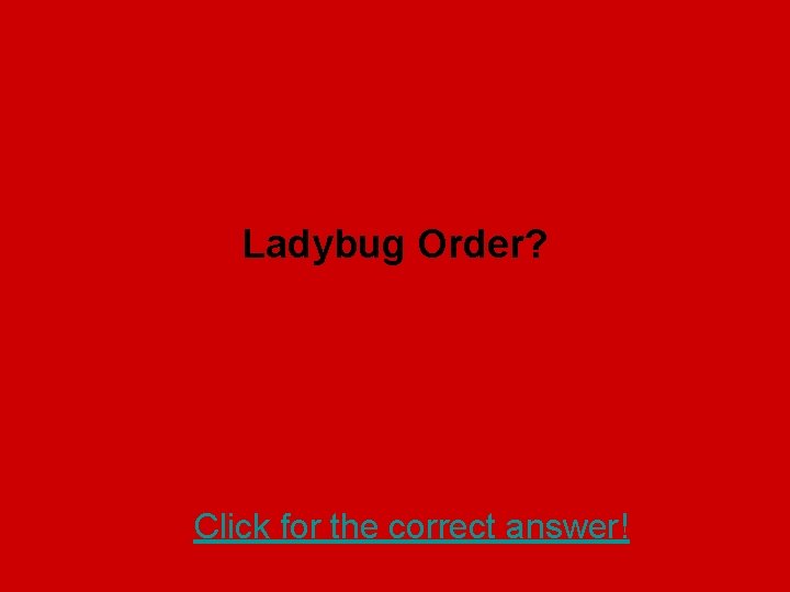 Ladybug Order? Click for the correct answer! 