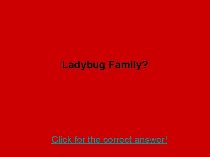 Ladybug Family? Click for the correct answer! 