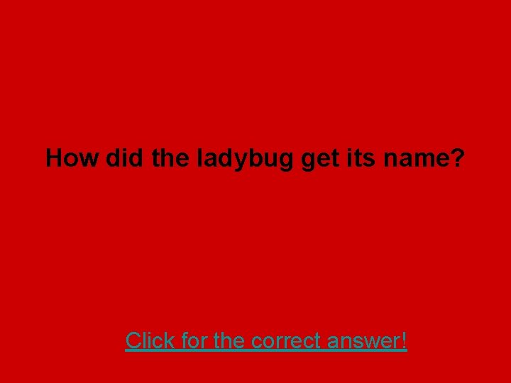 How did the ladybug get its name? Click for the correct answer! 