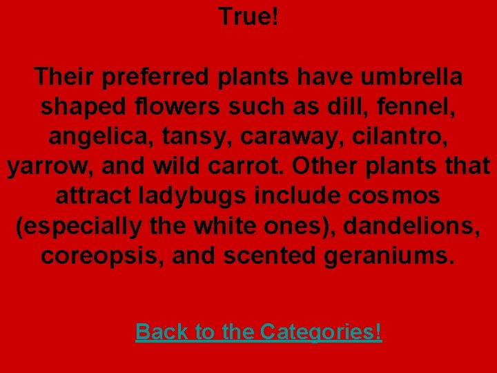 True! Their preferred plants have umbrella shaped flowers such as dill, fennel, angelica, tansy,