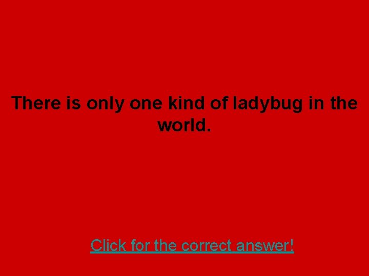 There is only one kind of ladybug in the world. Click for the correct