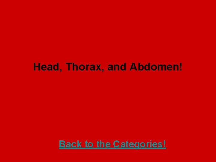 Head, Thorax, and Abdomen! Back to the Categories! 