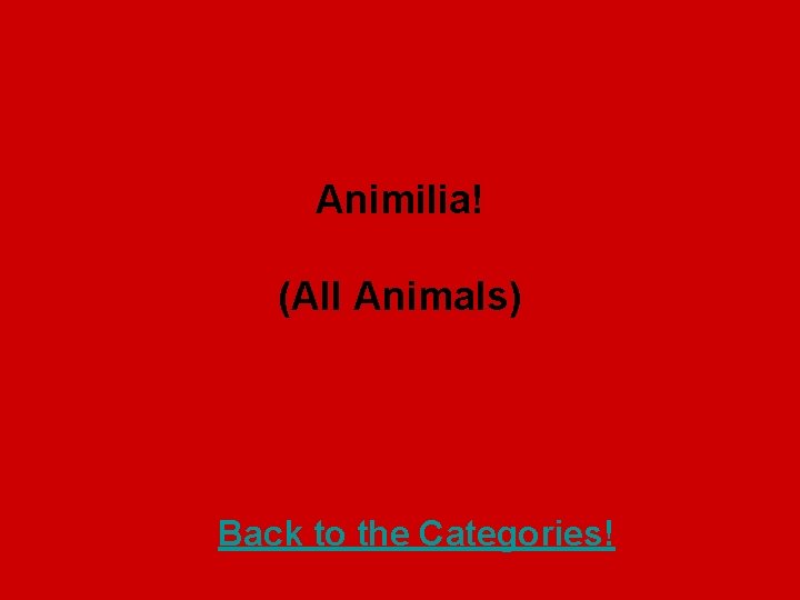 Animilia! (All Animals) Back to the Categories! 