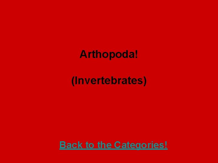 Arthopoda! (Invertebrates) Back to the Categories! 