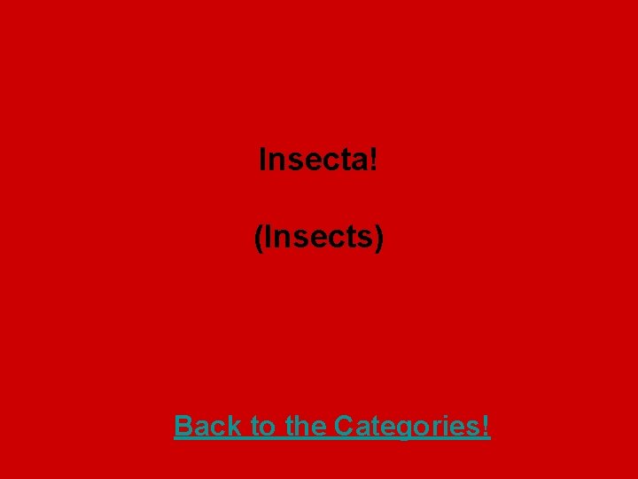 Insecta! (Insects) Back to the Categories! 