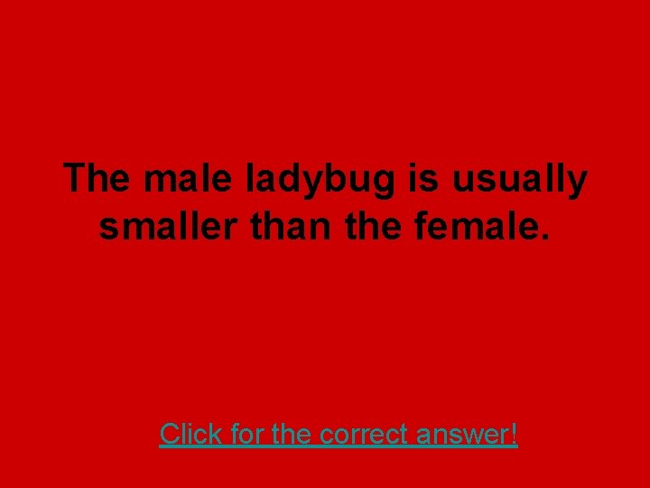 The male ladybug is usually smaller than the female. Click for the correct answer!