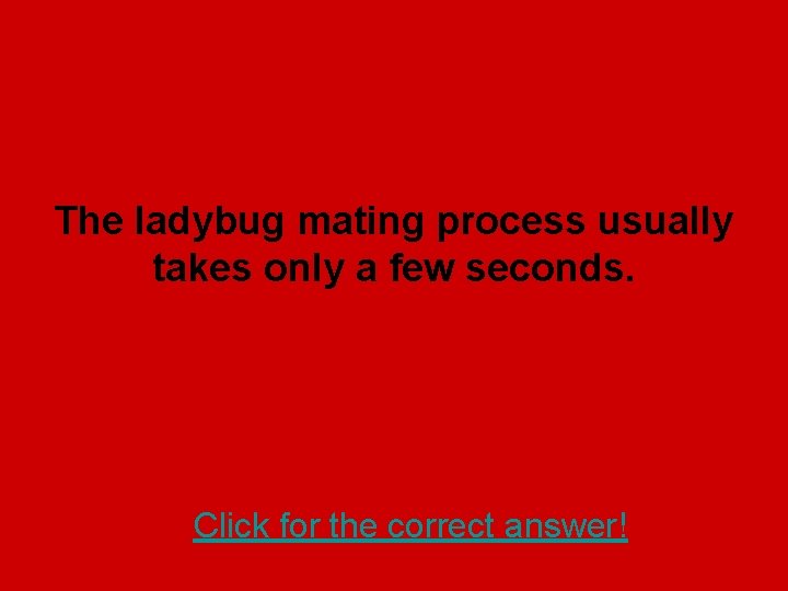 The ladybug mating process usually takes only a few seconds. Click for the correct