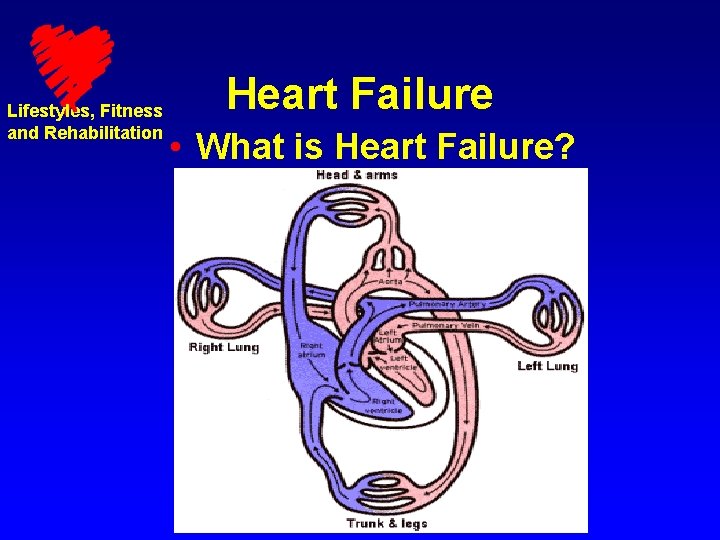 Lifestyles, Fitness and Rehabilitation Heart Failure • What is Heart Failure? 