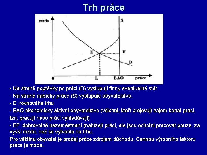 Trh práce - Na straně poptávky po práci (D) vystupují firmy eventuelně stát. -